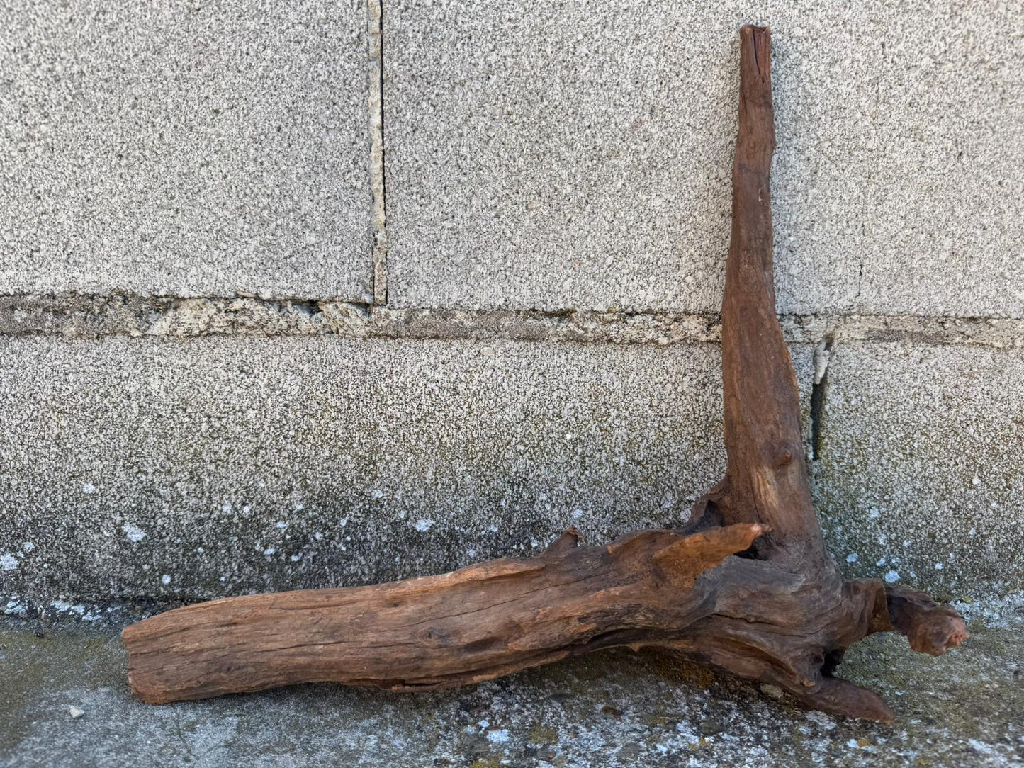 Drift Wood - 33*12*36 - cod.105 AQPET