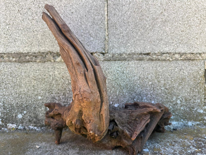 Drift Wood - 27*16*27 - cod.106 AQPET