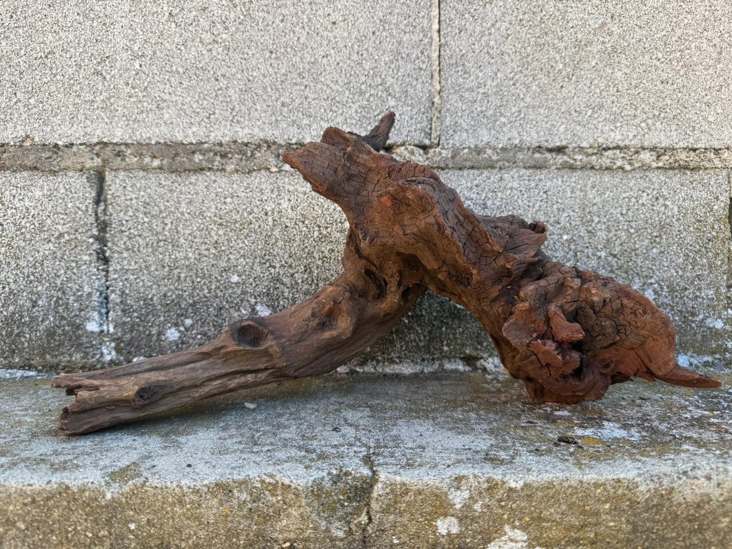 Drift Wood - 27*16*27 - cod.106 AQPET