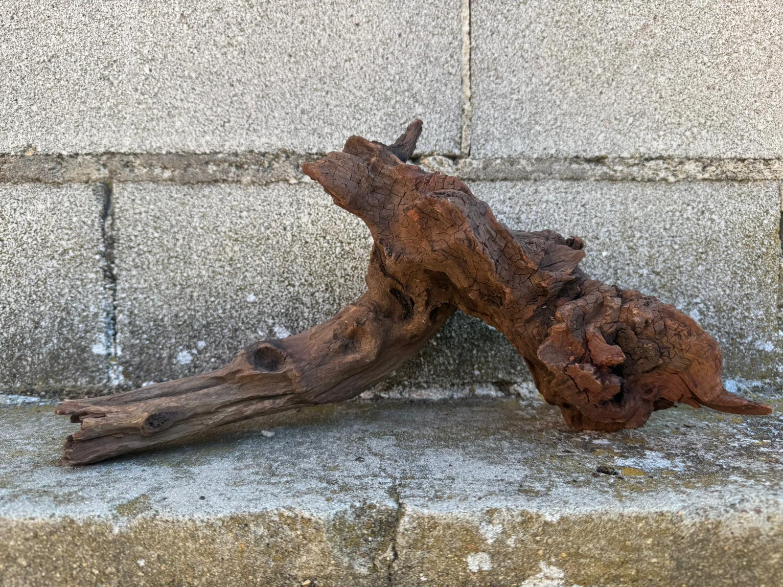 Drift Wood - 27*16*27 - cod.106 AQPET