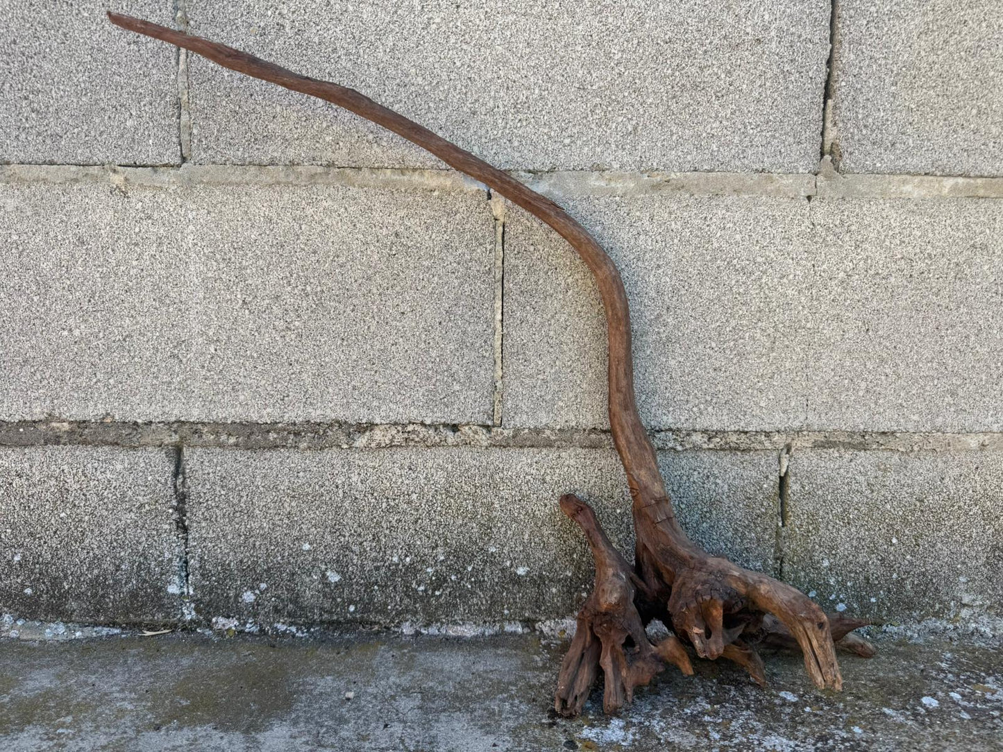 Drift Wood - 58*13*50- cod.107 AQPET