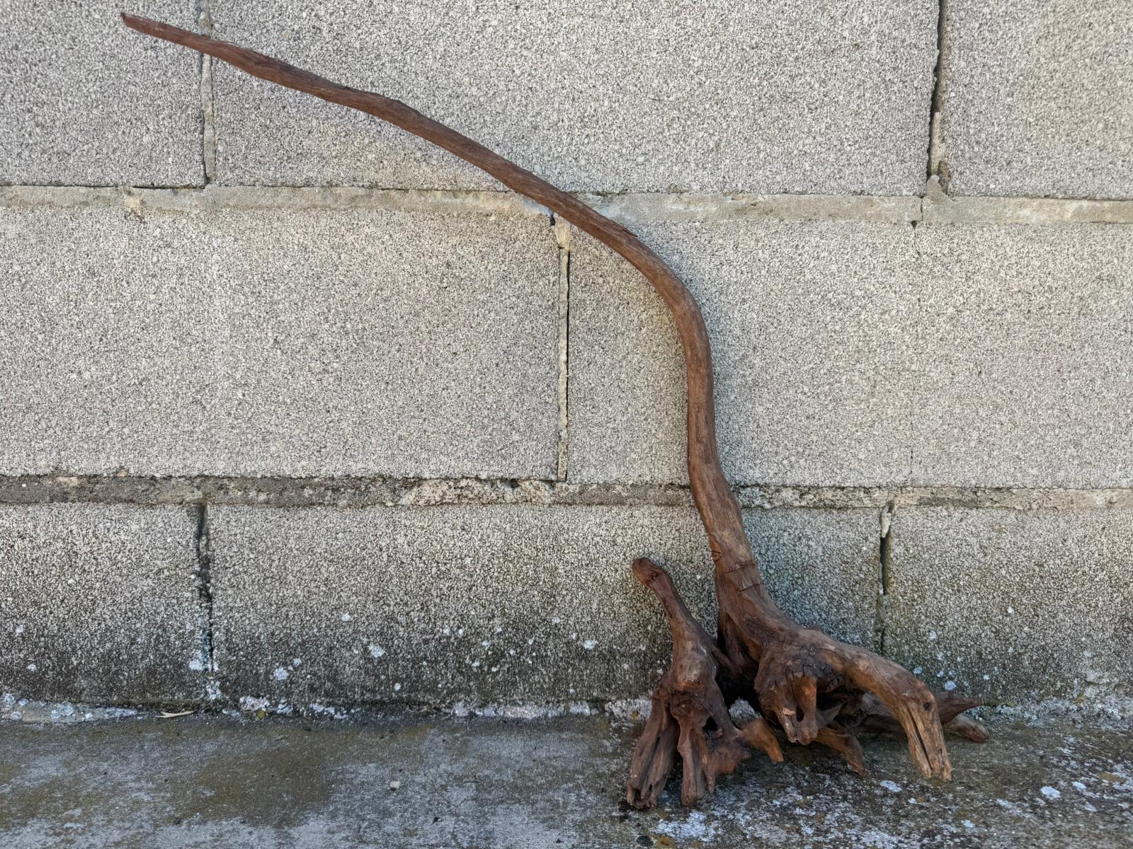 Drift Wood - 58*13*50- cod.107 AQPET