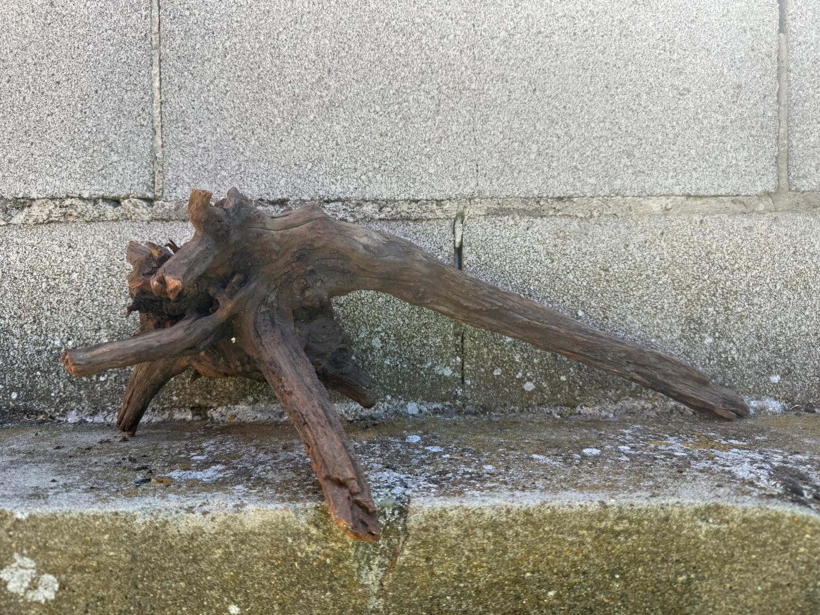 Drift Wood - 48*21*17- cod.108 AQPET