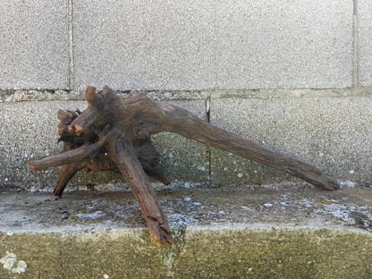 Drift Wood - 48*21*17- cod.108 AQPET