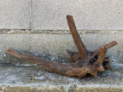 Drift Wood - 48*21*17- cod.108 AQPET