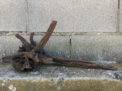 Drift Wood - 48*21*17- cod.108 AQPET