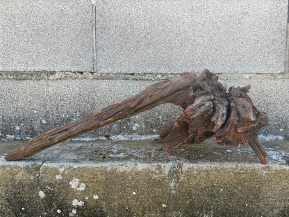 Drift Wood - 48*21*17- cod.108 AQPET