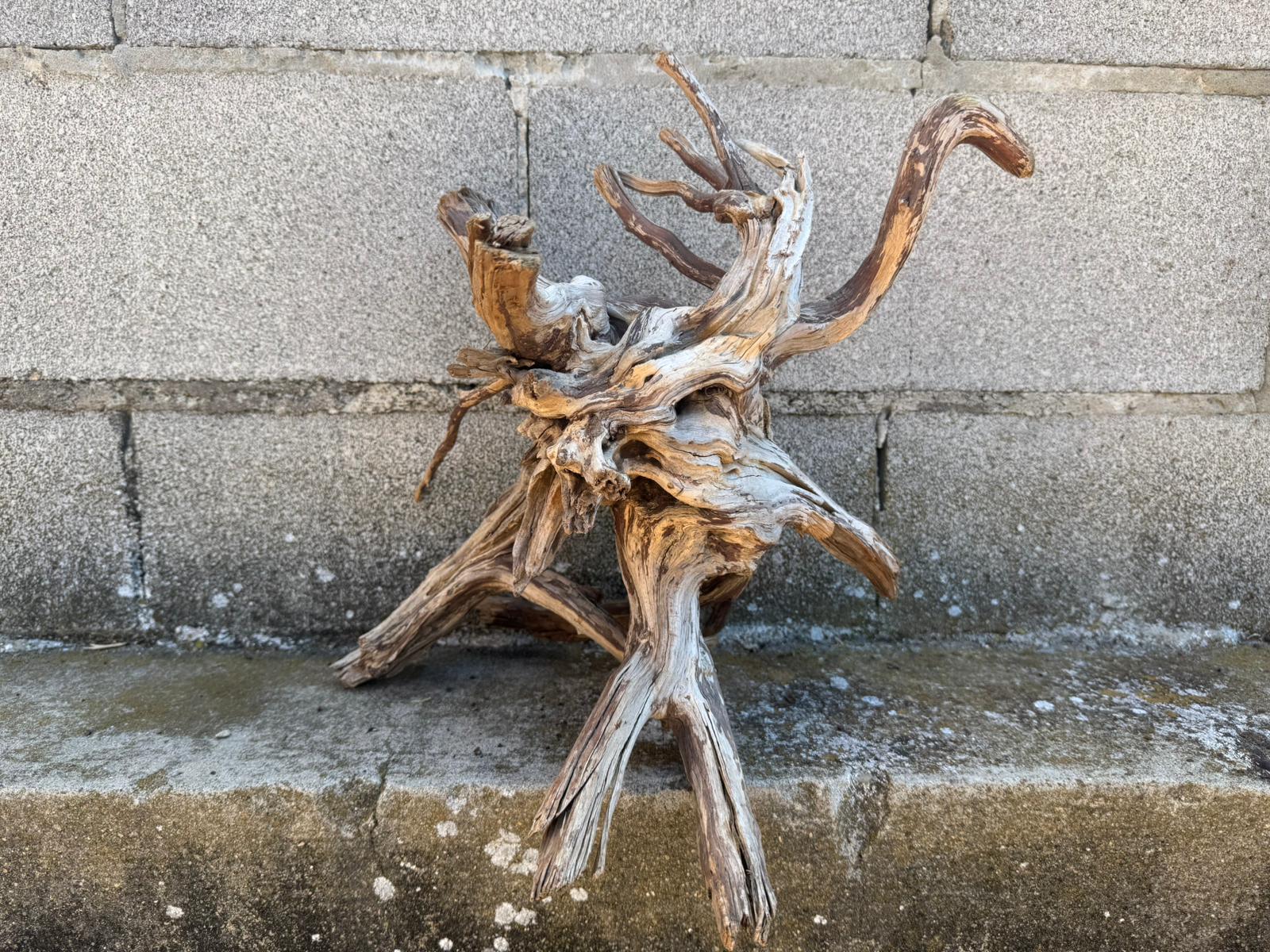 Drift Wood - 41*31*26 - cod.109 AQPET