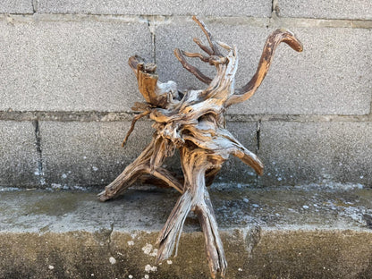 Drift Wood - 41*31*26 - cod.109 AQPET