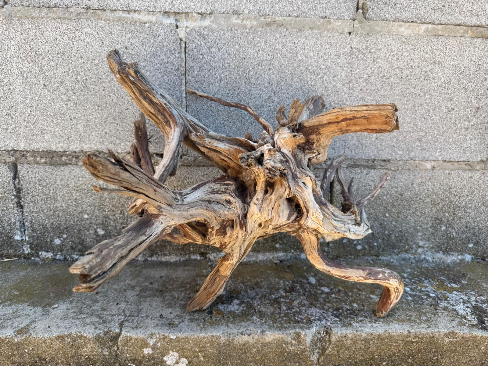 Drift Wood - 41*31*26 - cod.109 AQPET