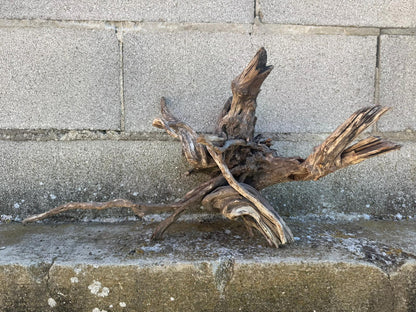Drift Wood - 54*27*30 - cod.110 AQPET