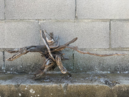 Drift Wood - 54*27*30 - cod.110 AQPET