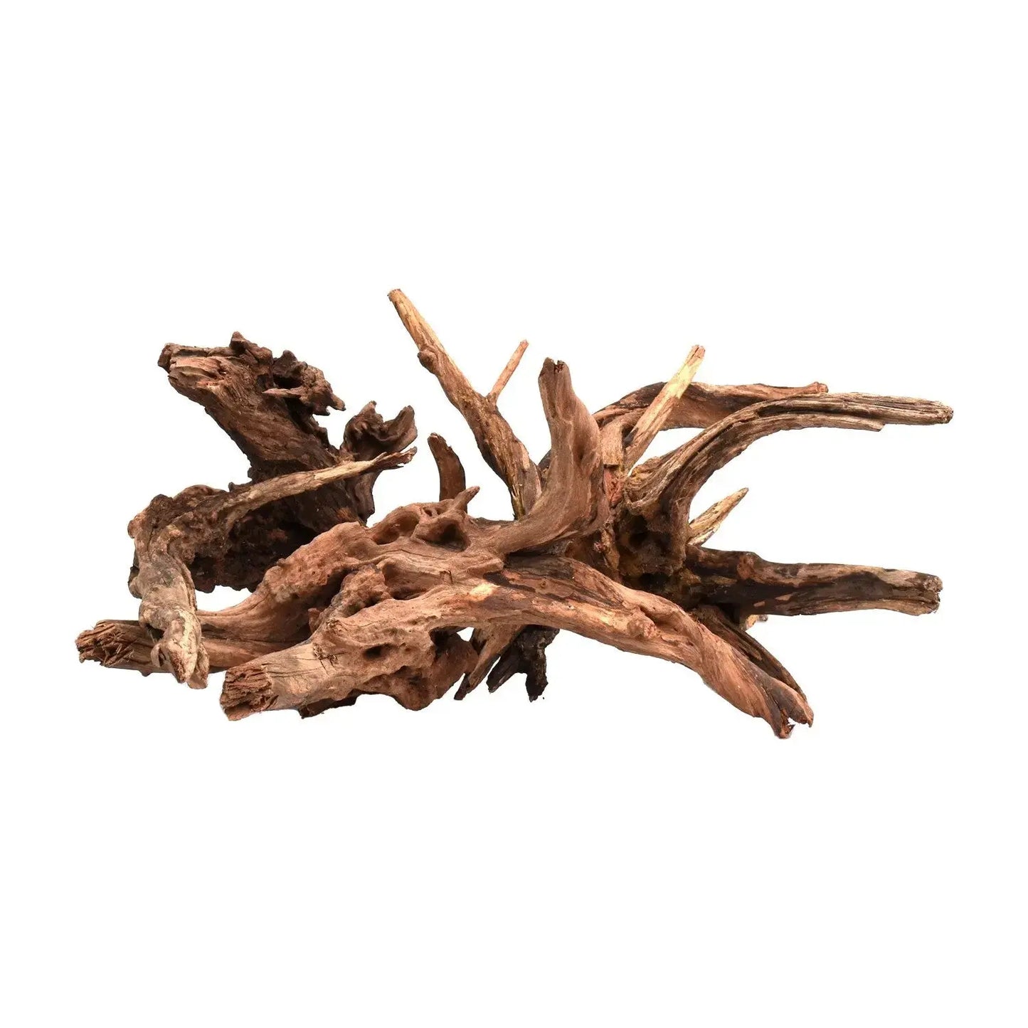 AQPET - Drift Wood WIO