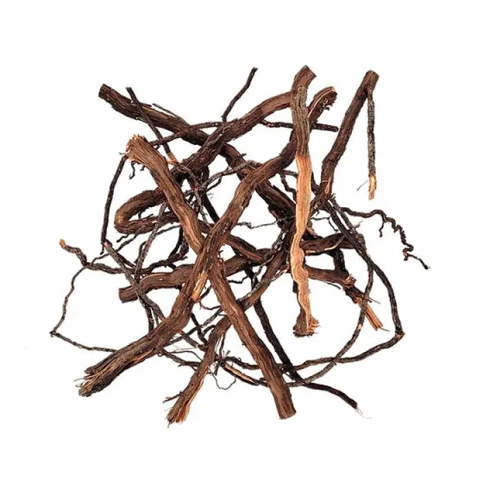 WIO - Elde Roots - Aquarium Setup
