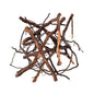 WIO - Elde Roots - Aquarium Setup