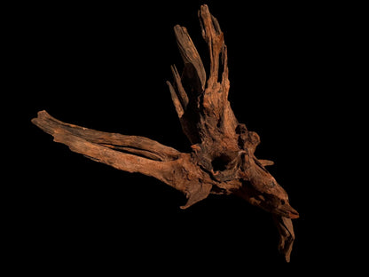 Drift Wood - 58*35*44 - cod.058