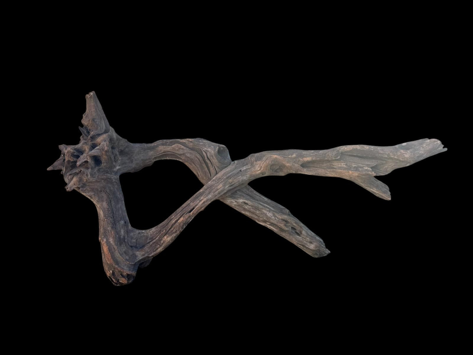 Drift Wood - 68*29*32 - cod.096 AQPET