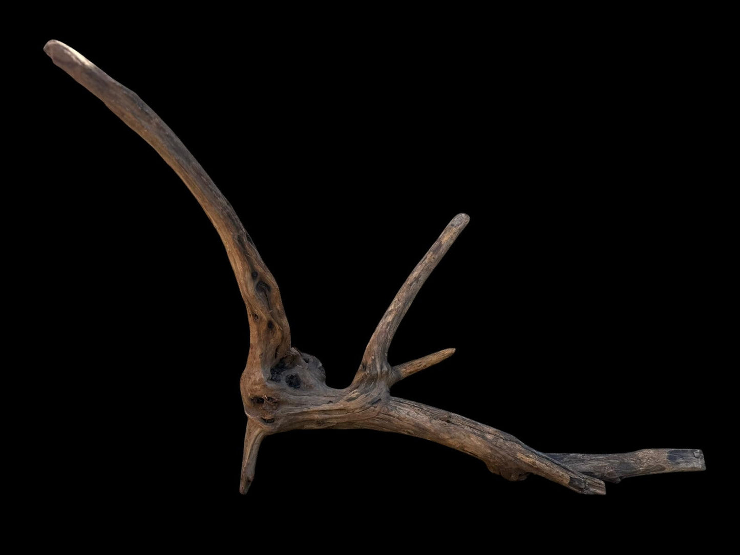 Drift Wood - 61*20*25- cod.103 AQPET