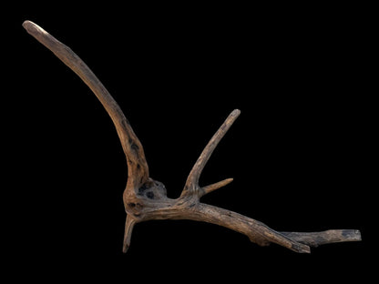 Drift Wood - 61*20*25- cod.103 AQPET