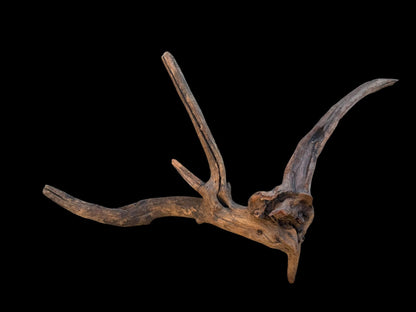 Drift Wood - 61*20*25- cod.103 AQPET