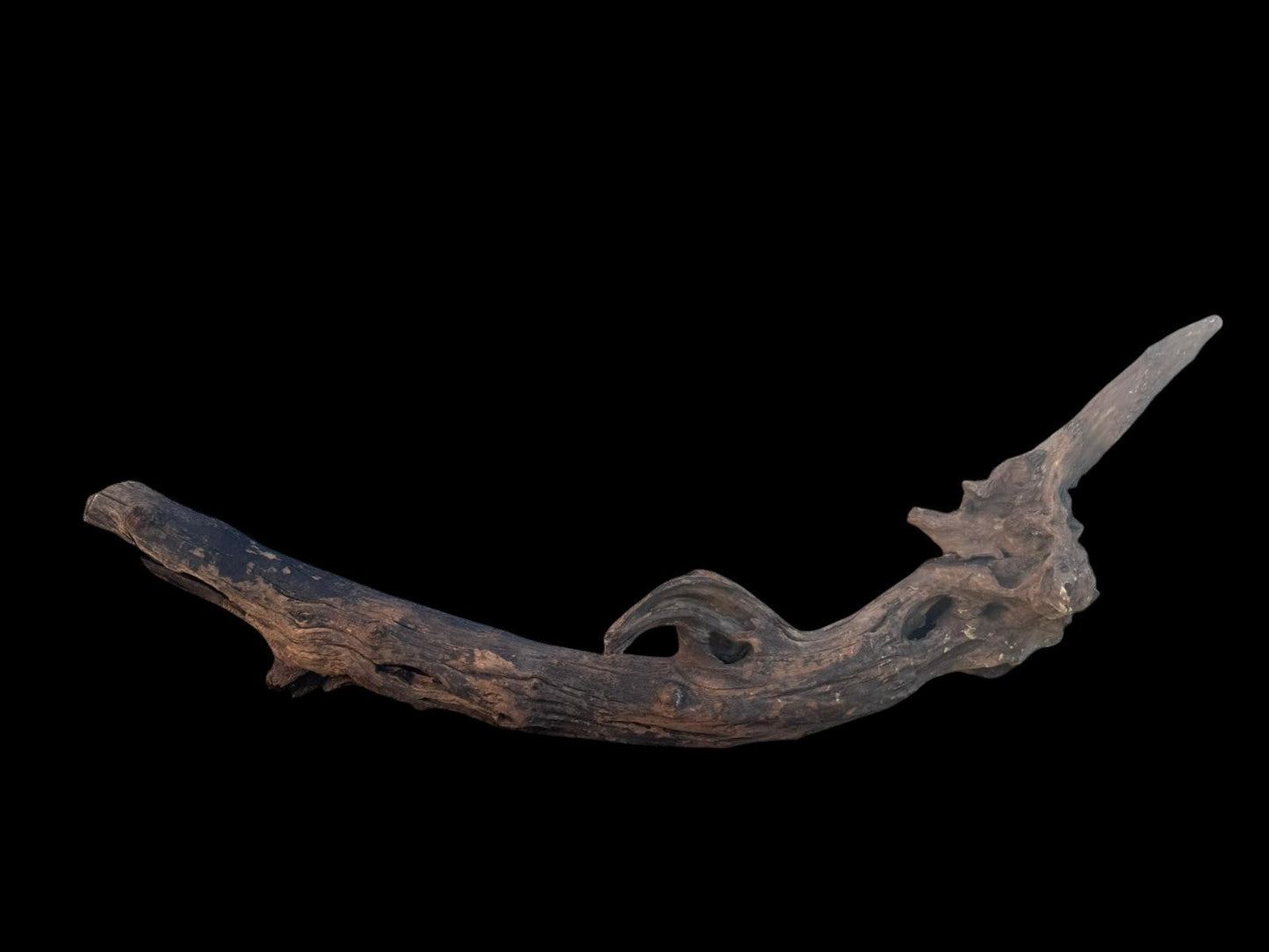 Drift Wood - 63*14*18 - cod.099 AQPET