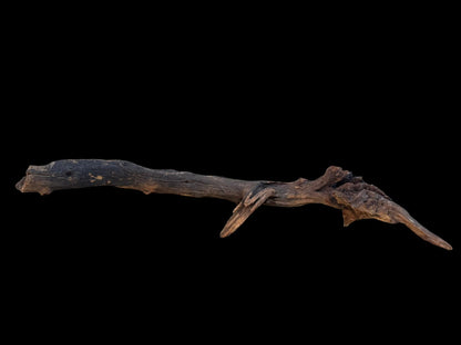 Drift Wood - 63*14*18 - cod.099 AQPET