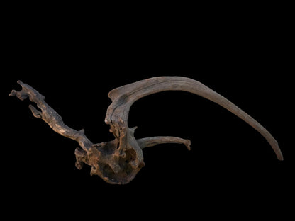 Drift Wood - 64*19*20 - cod.104 AQPET