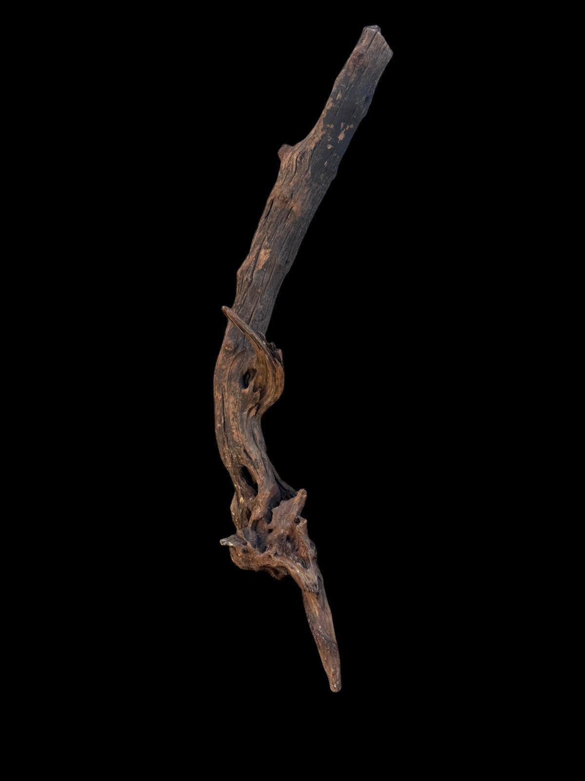Drift Wood - 63*14*18 - cod.099 AQPET