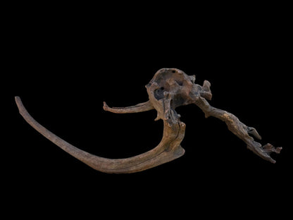 Drift Wood - 64*19*20 - cod.104 AQPET