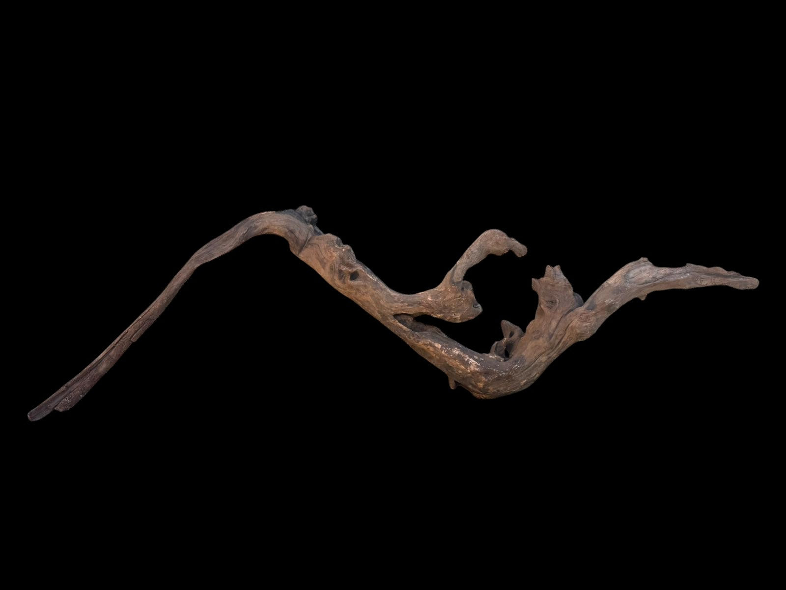 Drift Wood - 75*16*21 - cod.100 AQPET