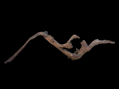 Drift Wood - 75*16*21 - cod.100 AQPET