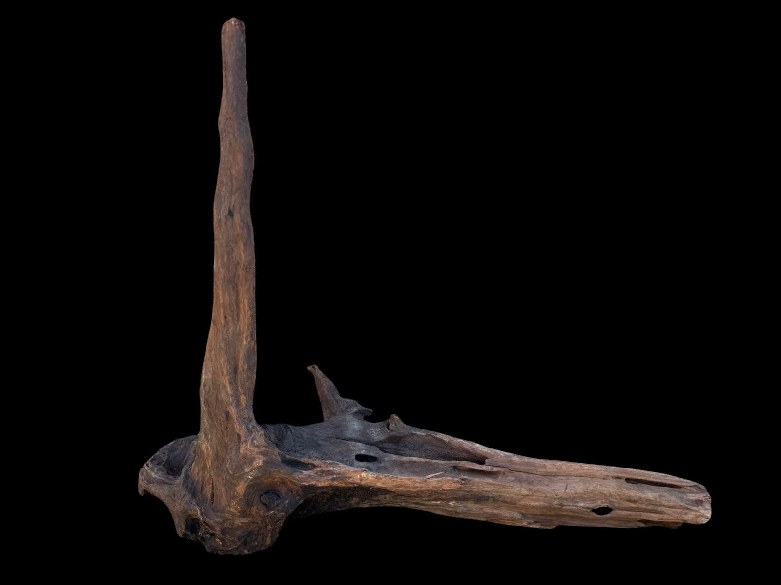 Drift Wood - 33*12*36 - cod.105 AQPET