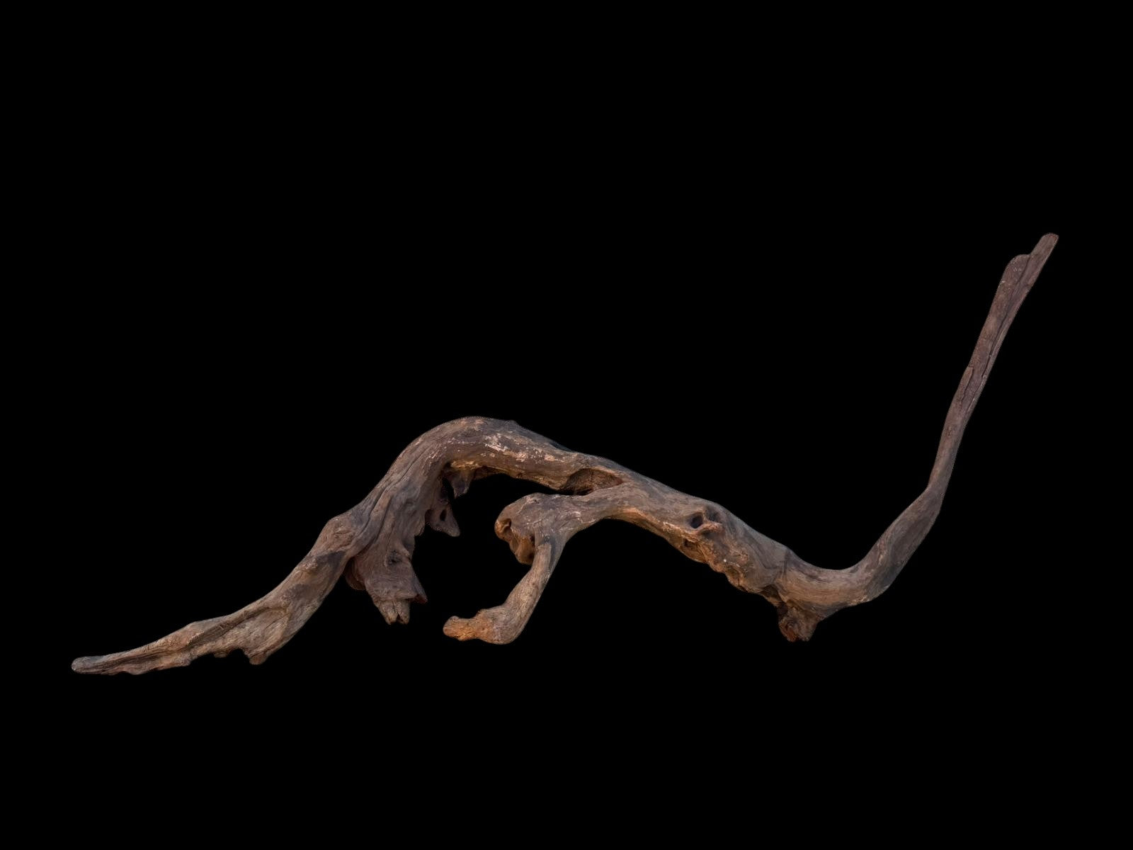 Drift Wood - 75*16*21 - cod.100 AQPET