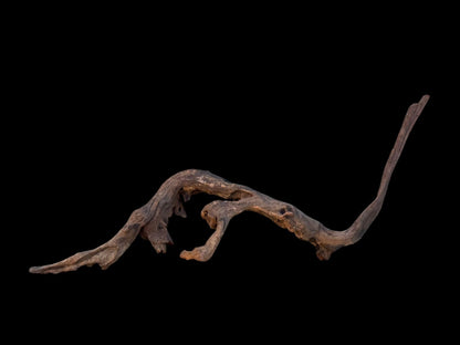 Drift Wood - 75*16*21 - cod.100 AQPET