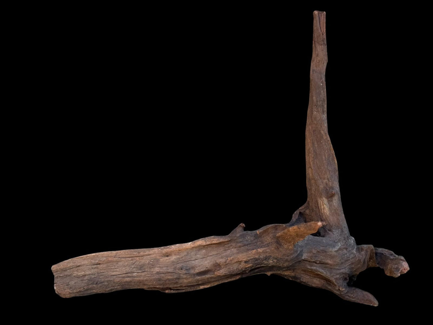 Drift Wood - 33*12*36 - cod.105 AQPET