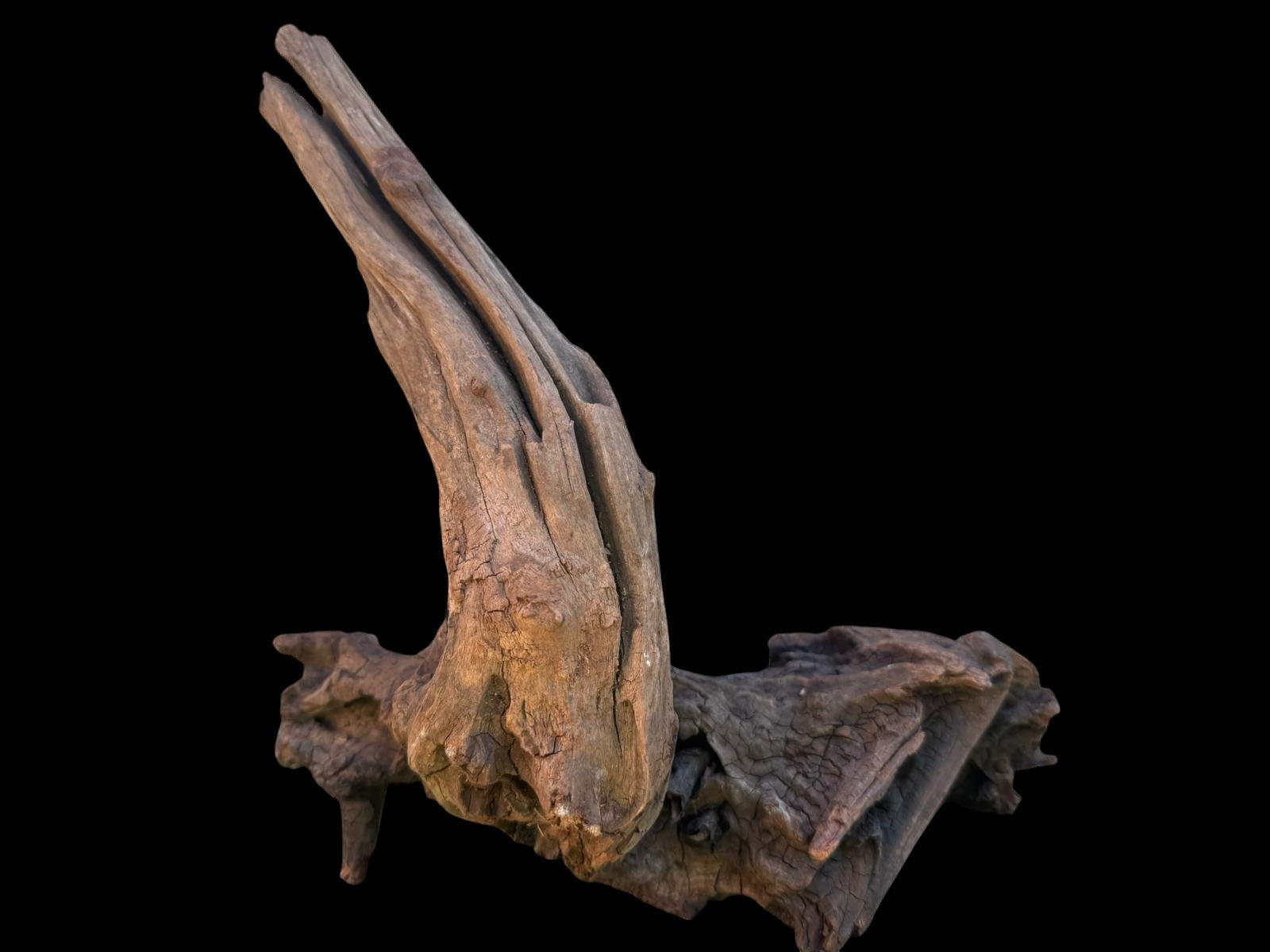 Drift Wood - 27*16*27 - cod.106 AQPET