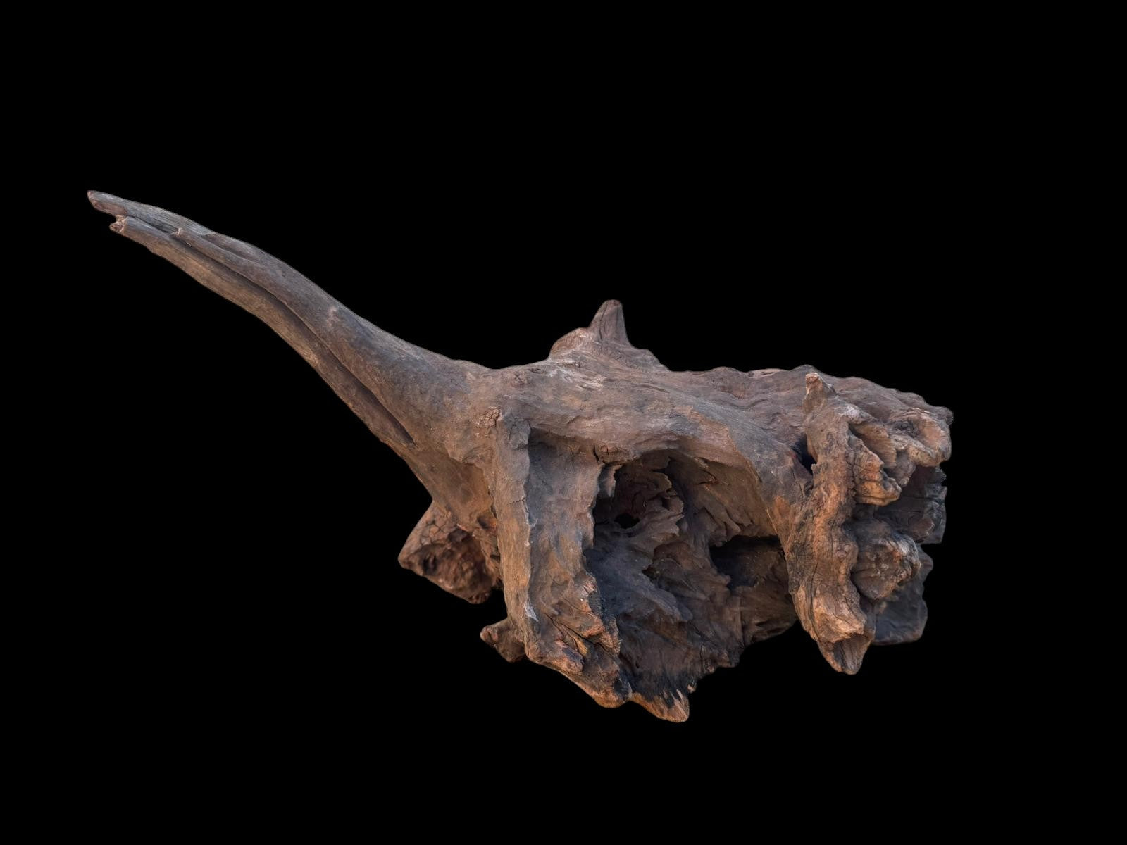 Drift Wood - 48*21*23 - cod.101 AQPET