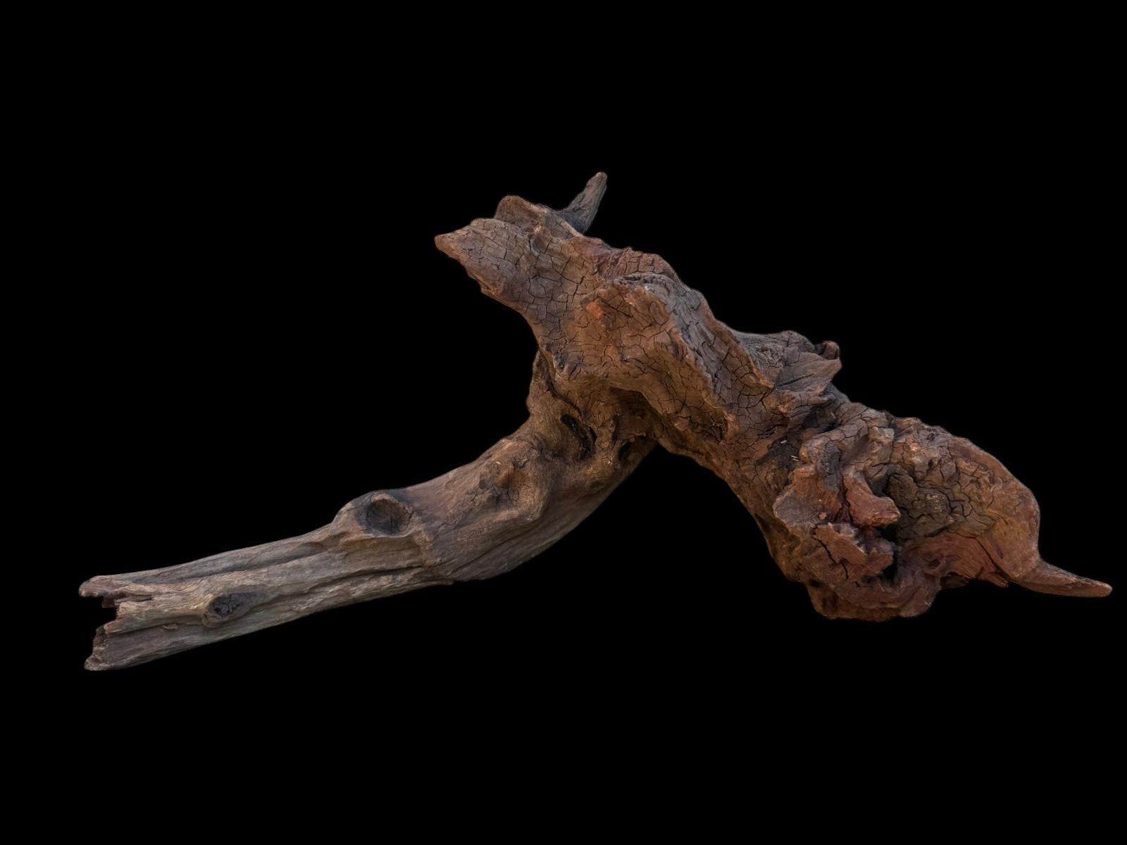 Drift Wood - 27*16*27 - cod.106 AQPET