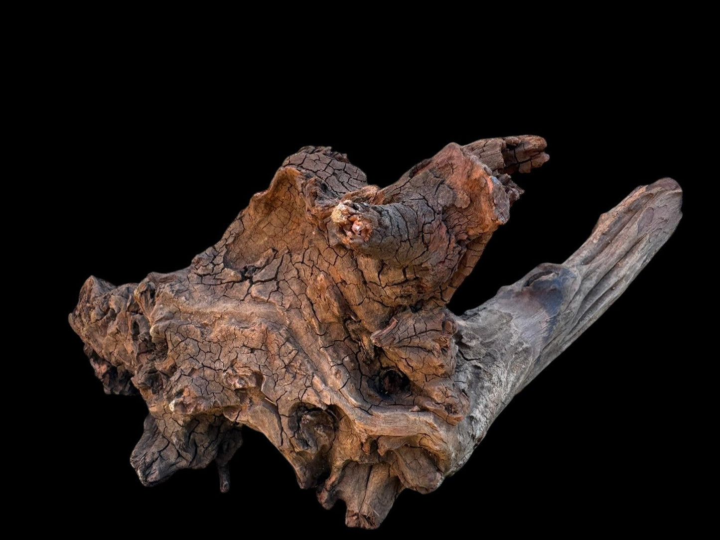Drift Wood - 27*16*27 - cod.106 AQPET