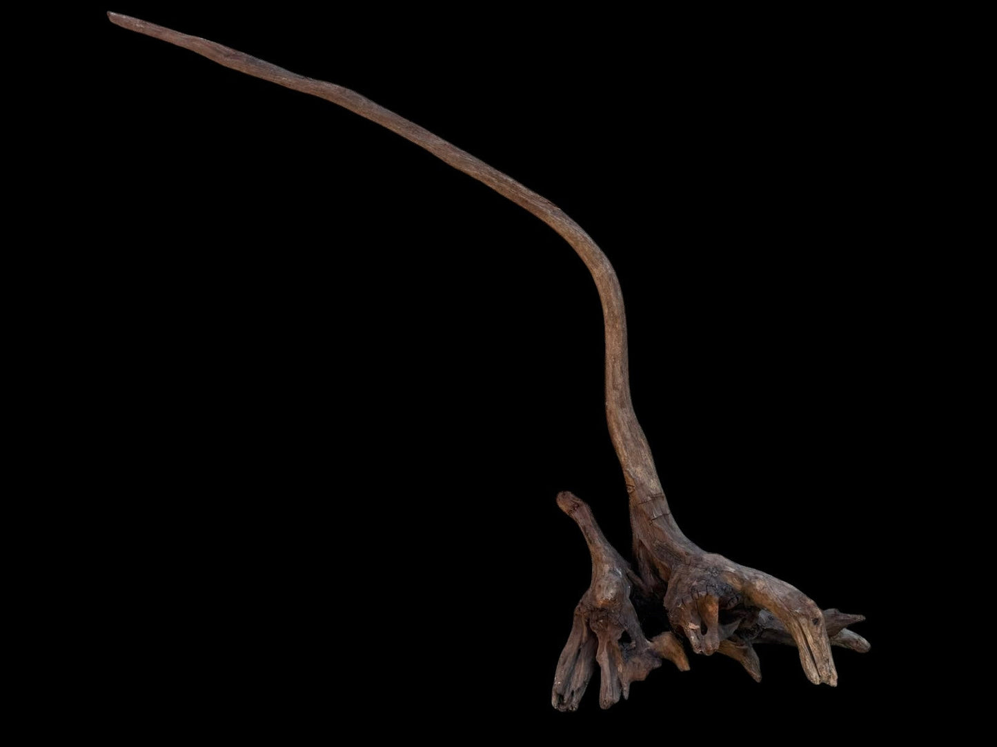 Drift Wood - 58*13*50- cod.107 AQPET