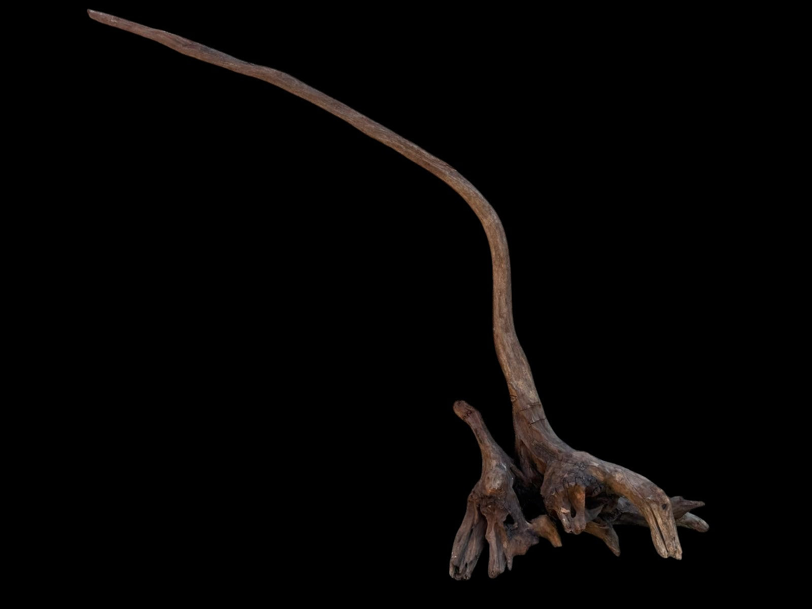 Drift Wood - 58*13*50- cod.107 AQPET