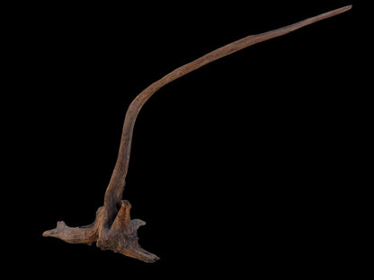 Drift Wood - 58*13*50- cod.107 AQPET