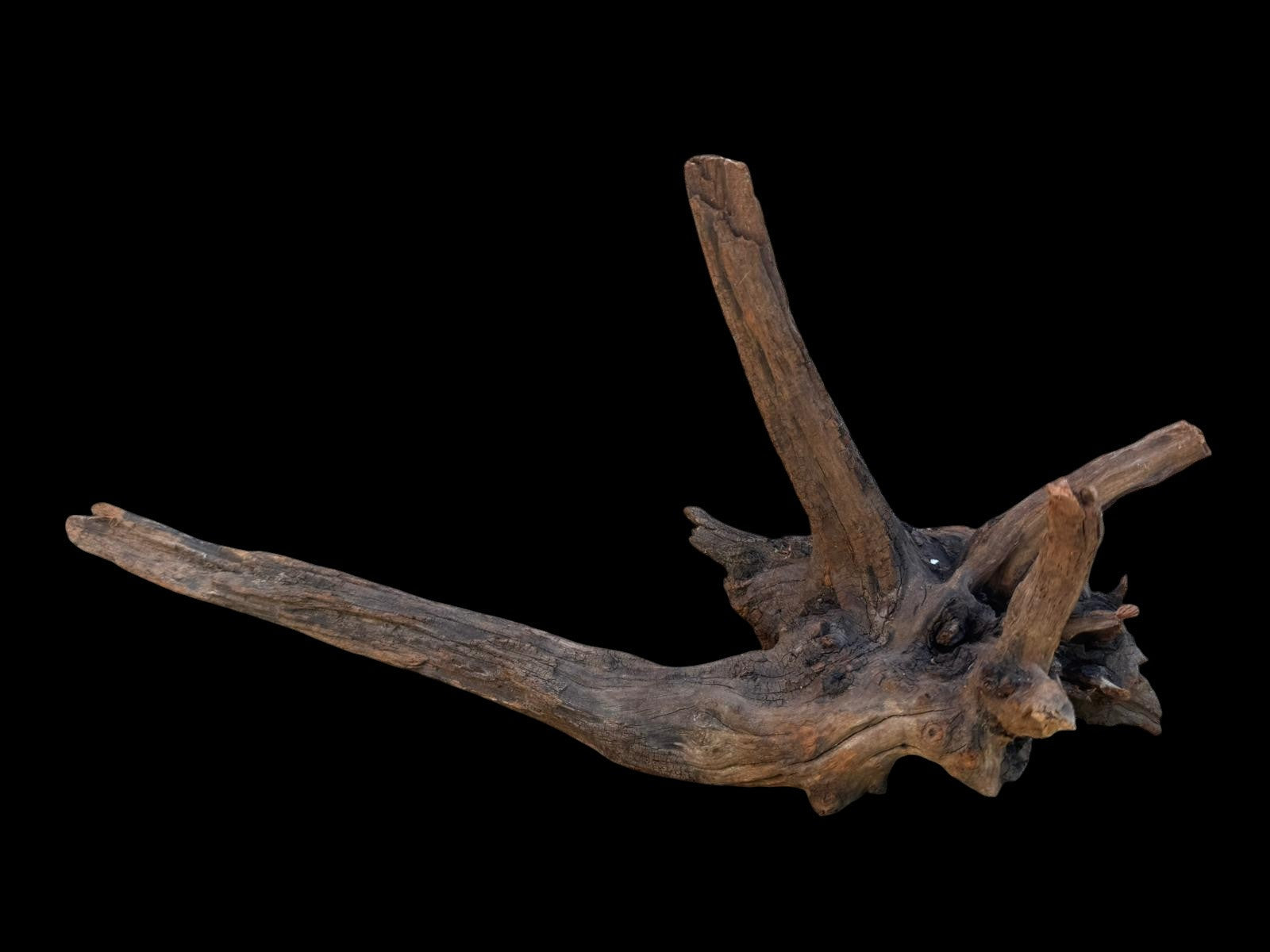 Drift Wood - 48*21*17- cod.108 AQPET
