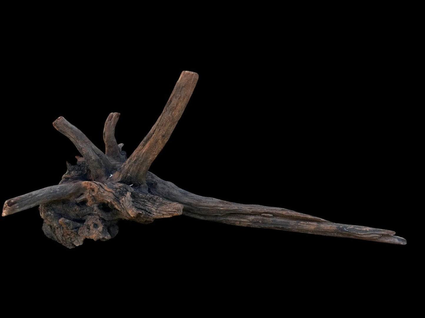 Drift Wood - 48*21*17- cod.108 AQPET