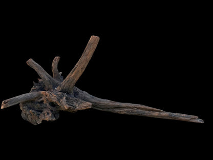Drift Wood - 48*21*17- cod.108 AQPET