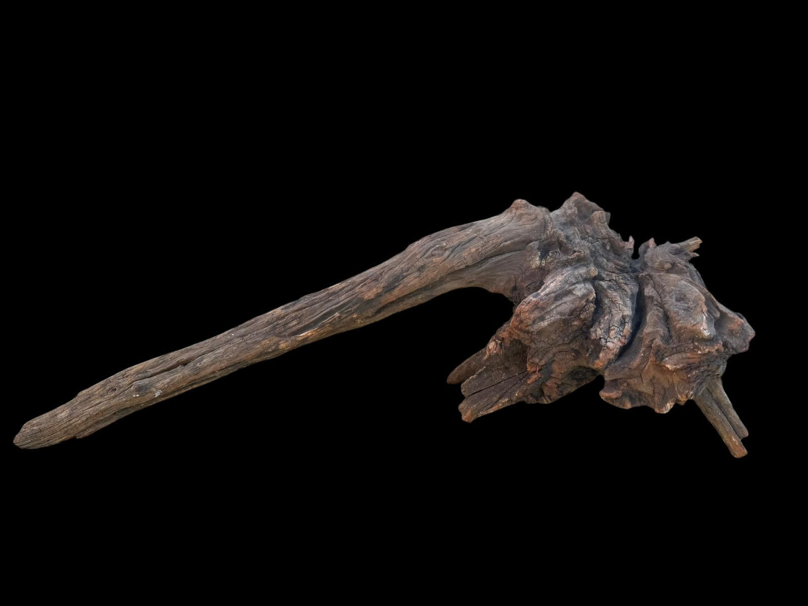Drift Wood - 48*21*17- cod.108 AQPET
