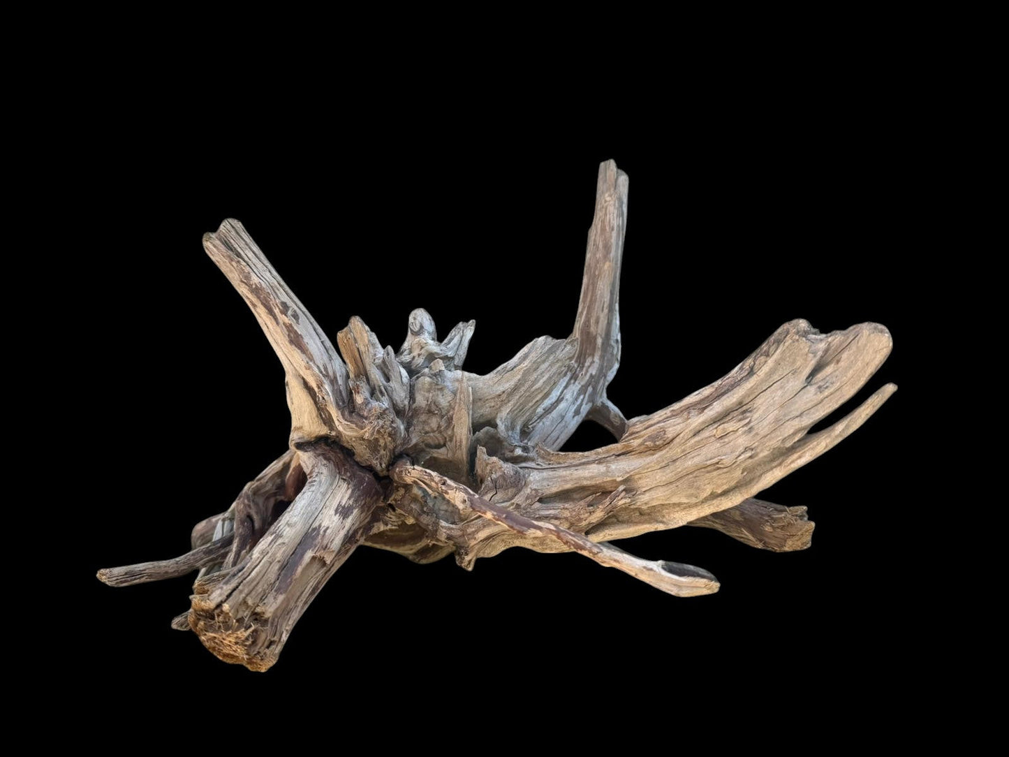 Drift Wood - 41*31*26 - cod.109 AQPET