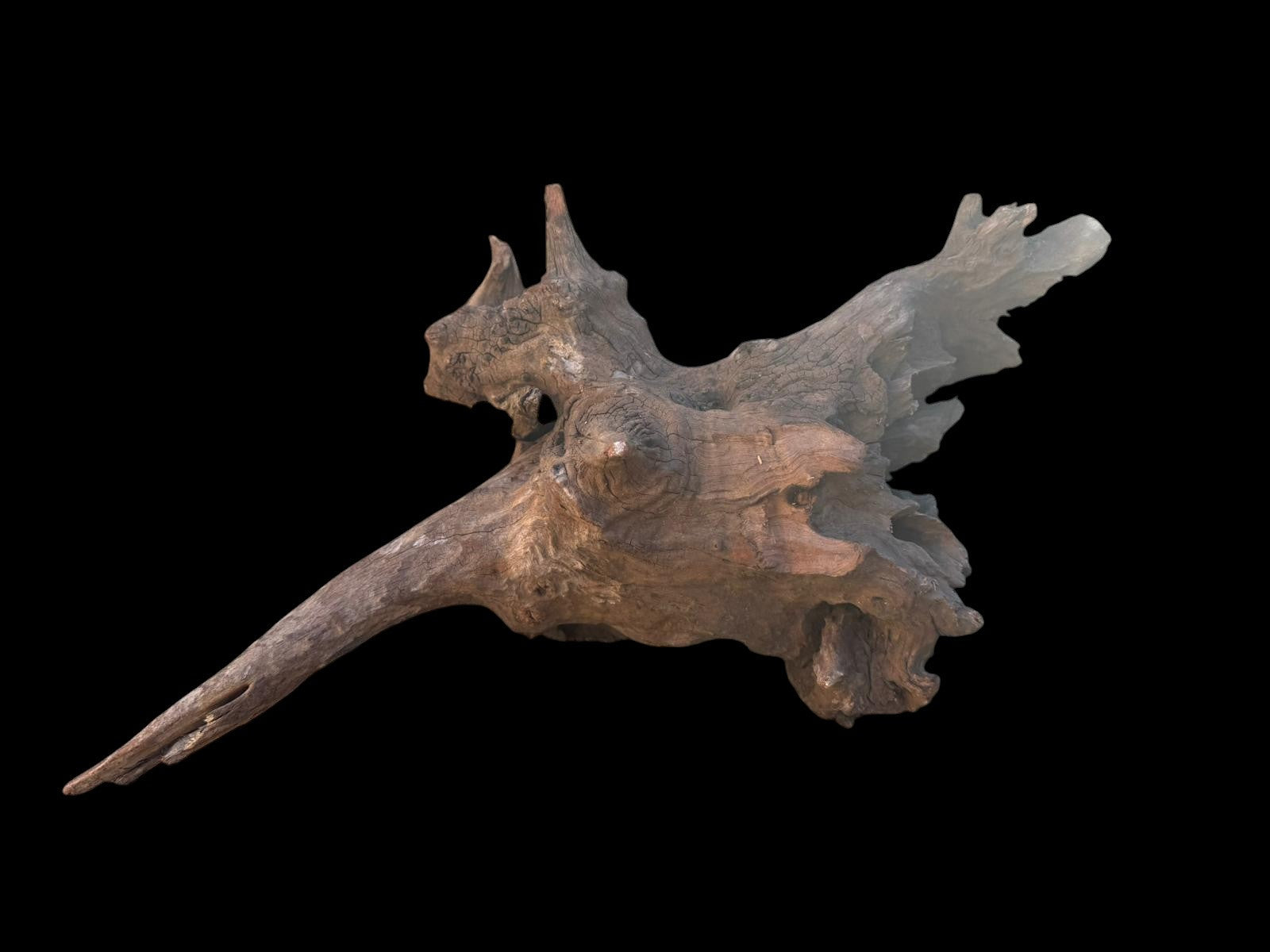 Drift Wood - 48*21*23 - cod.101 AQPET