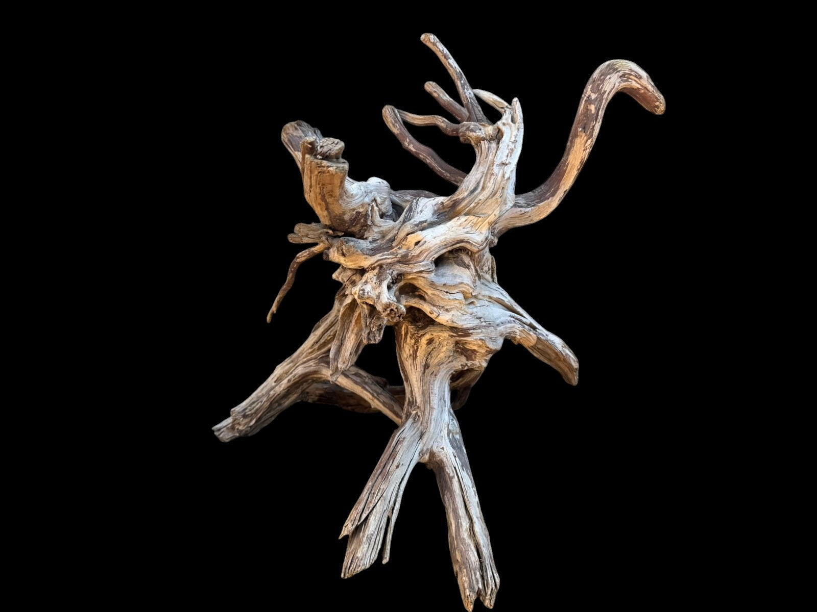 Drift Wood - 41*31*26 - cod.109 AQPET