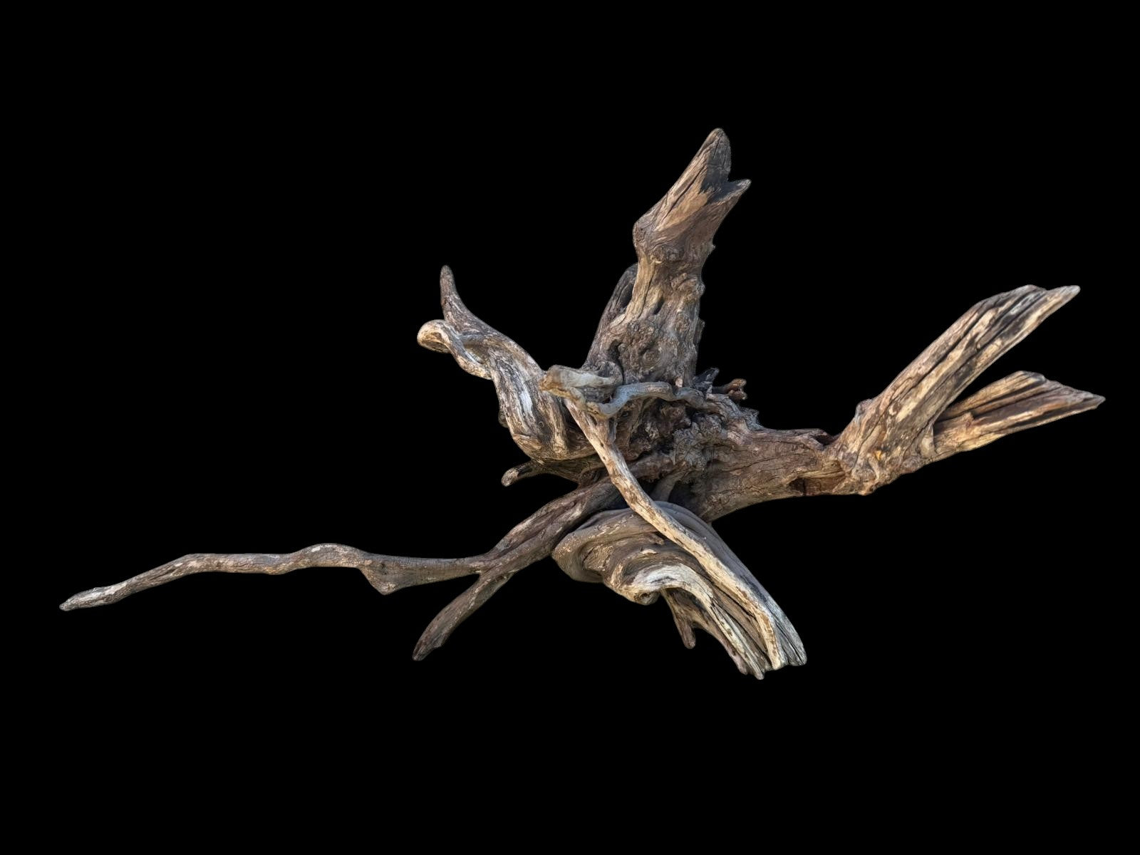 Drift Wood - 54*27*30 - cod.110 AQPET
